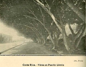 Vista en Puerto Limón
